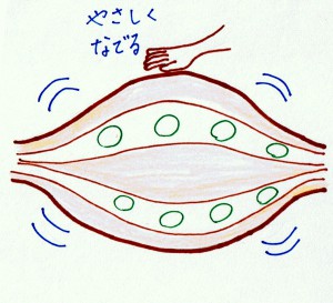 この図のように優しくなでるのが良い